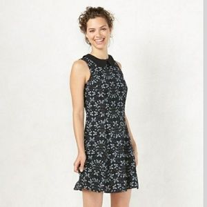 3/$15 °LC Lauren Conrad° Butterfly Shift Dress